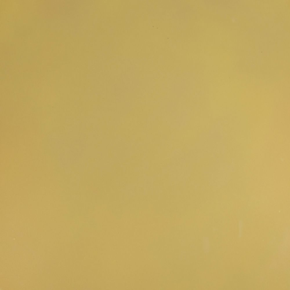 Solid mustard yellow color swatch