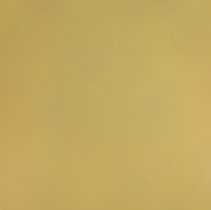 Solid mustard yellow color swatch