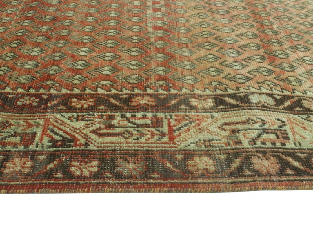 Boleslao Hand Knotted Wool Oriental Rug