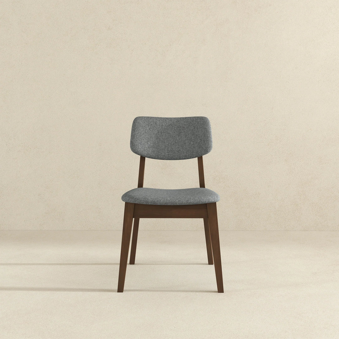 Carlos Dark Grey Fabric Solid Back Side Chair (Set of 2)