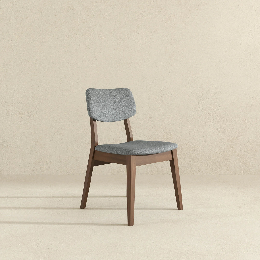 Carlos Dark Grey Fabric Solid Back Side Chair (Set of 2)