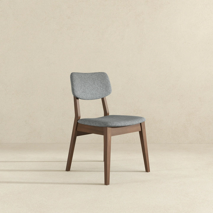 Carlos Dark Grey Fabric Solid Back Side Chair (Set of 2)