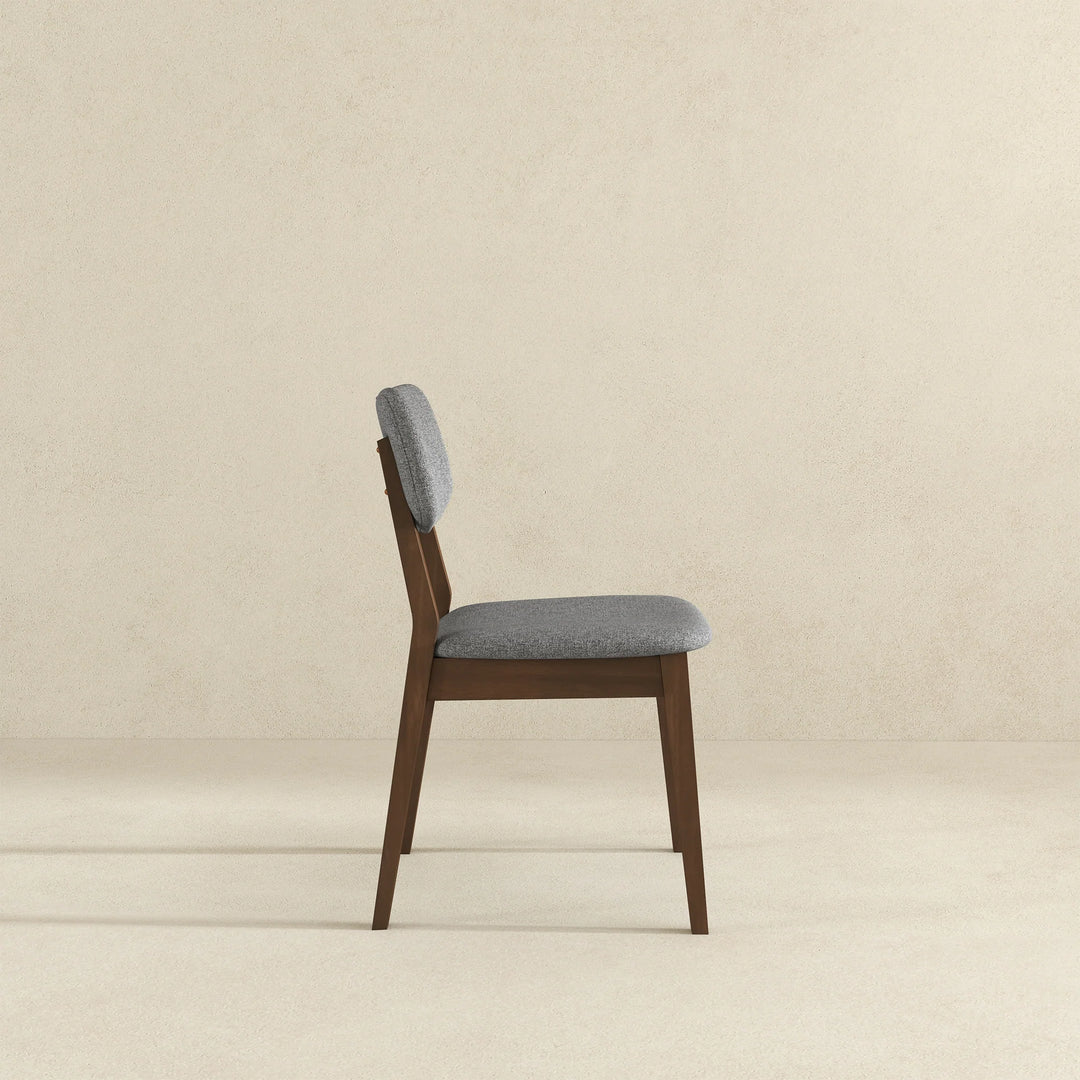 Carlos Dark Grey Fabric Solid Back Side Chair (Set of 2)
