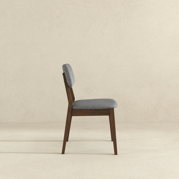 Carlos Dark Grey Fabric Solid Back Side Chair (Set of 2)