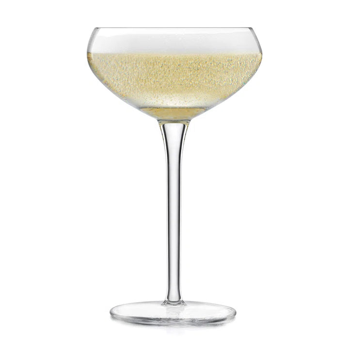 Signature Kentfield Coupe Cocktail Glasses