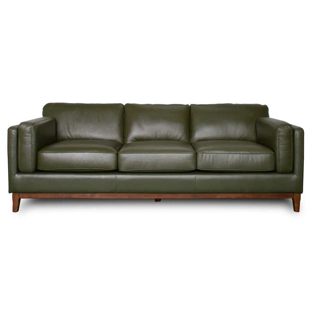 Green leather sofa on a white background