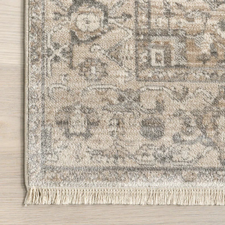 Wideman Medallion Area Rug for Living Room Bedroom Dining Room Kitchen, Neutral/Beige